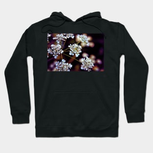 Grow like Wildflowers Hoodie